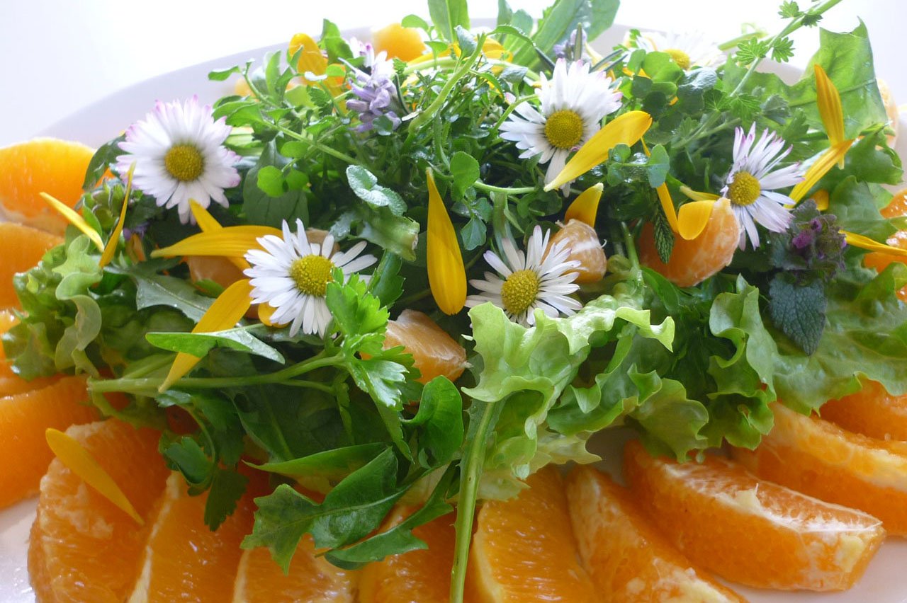 wild salad inside-post