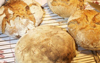 Easy White Bread