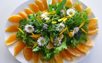 Wild Salad with Oranges